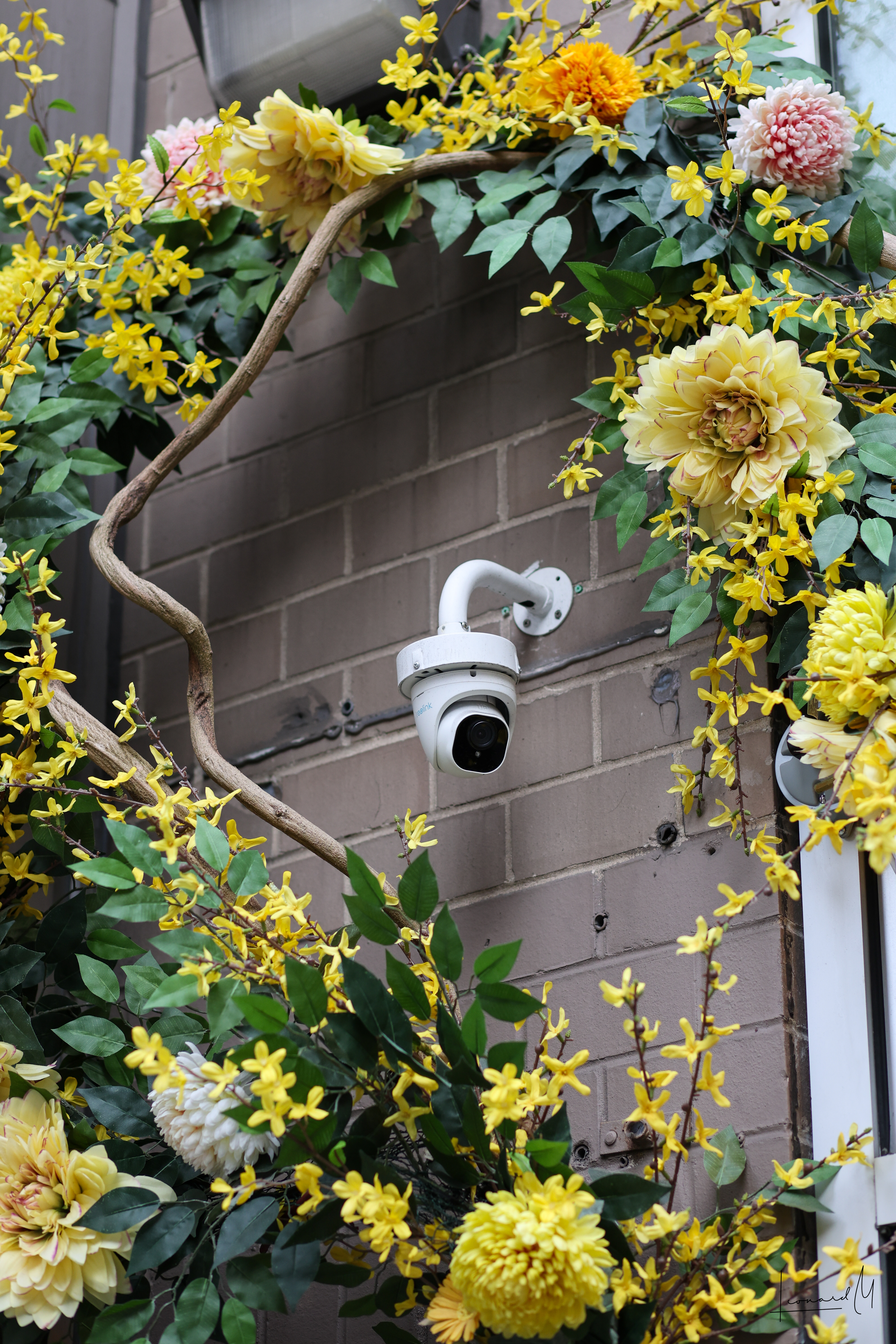 Camera Surrounded by Flowers