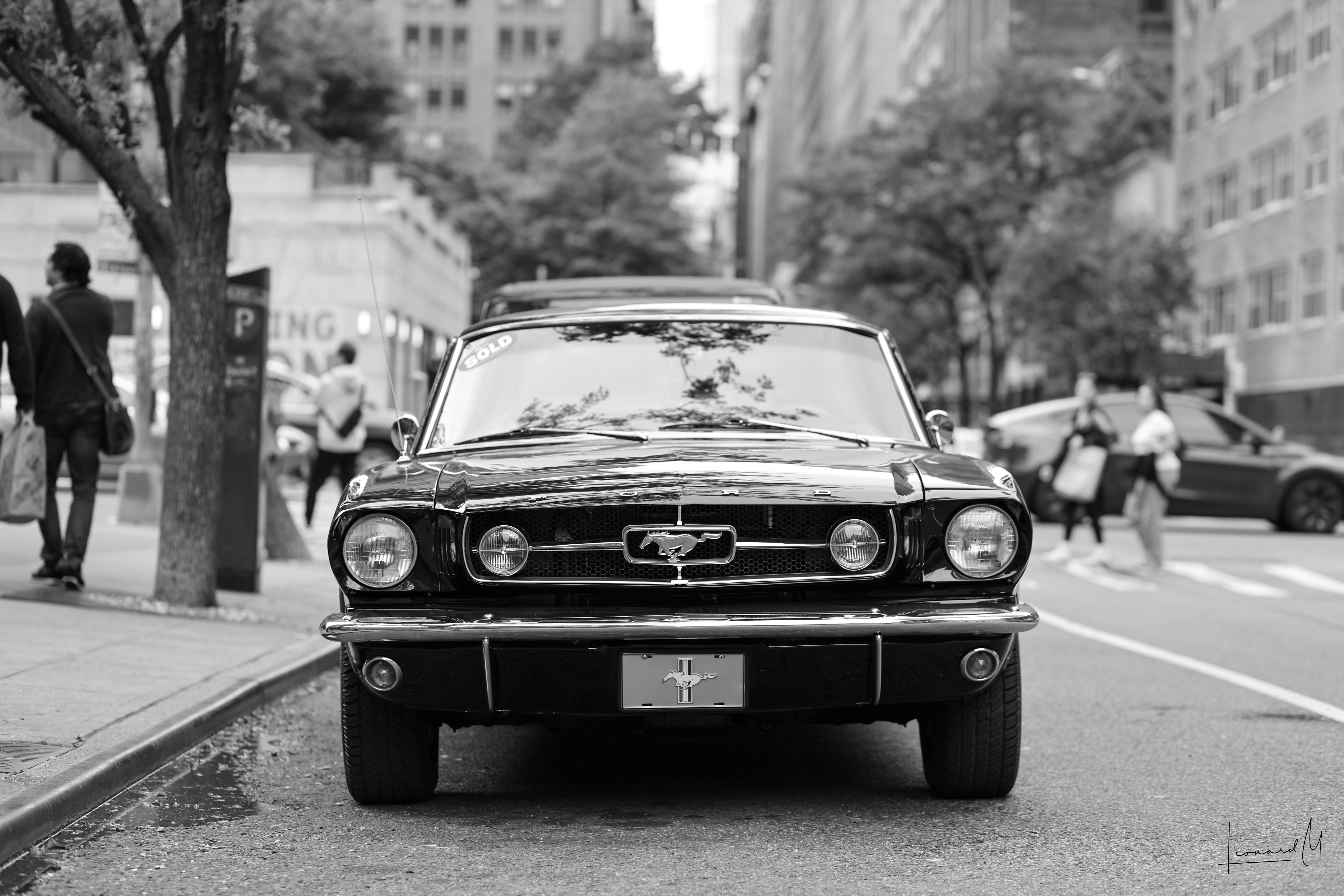 Vintage Mustang